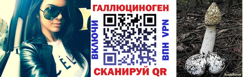Купить где  Верхотурье  Галлюциногенные грибы Magic Shrooms 
