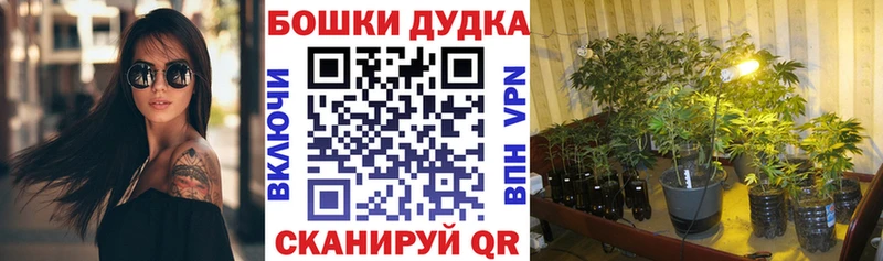 Купить где  Верхотурье  Бошки марихуана сатива 